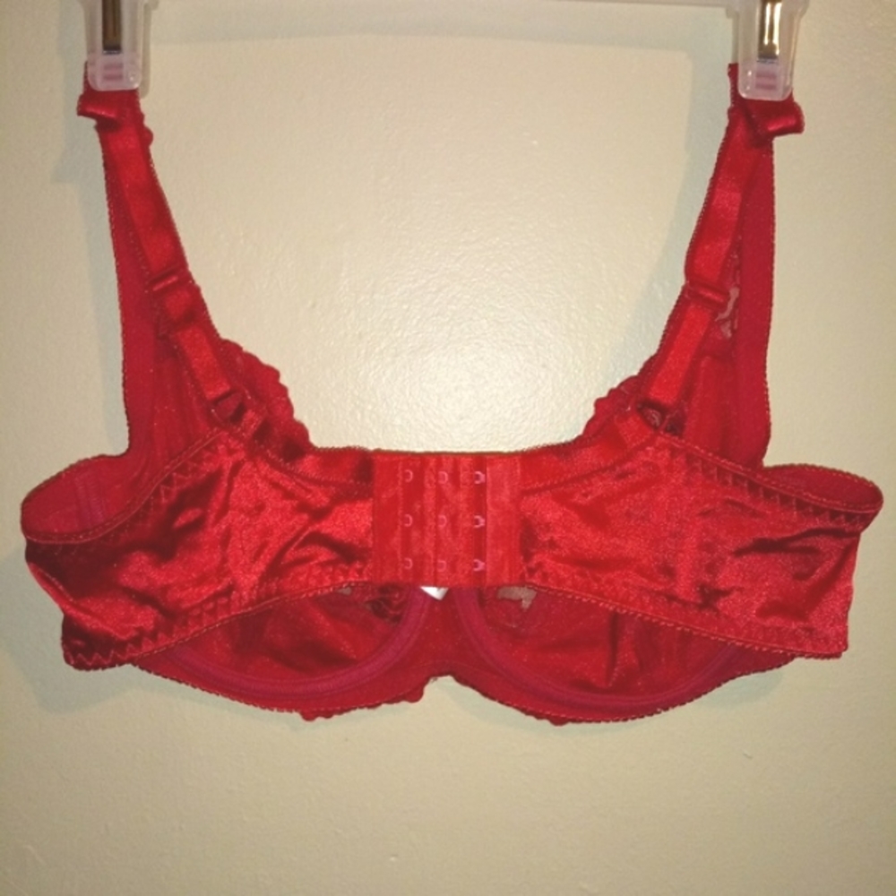 Delta Burke Bra - Picture 4 of 4